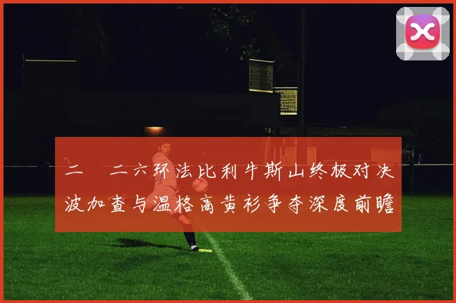 二〇二六环法比利牛斯山终极对决波加查与温格高黄衫争夺深度前瞻