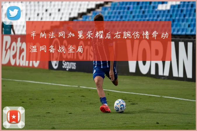 辛纳法网加冕荣耀后右腕伤情牵动温网备战全局